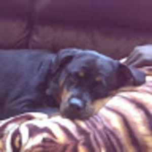 Meet your Posher, Olu